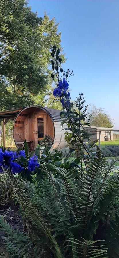 Vakantiewoning Victors Hof Tot 4 Pers Lievegem Екстериор снимка